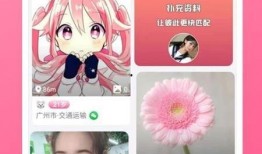 最新赏金币爆料视频下载,下载攻略与收益解析