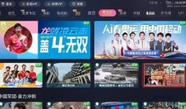 网红石头爆料视频播放,揭秘幕后真相